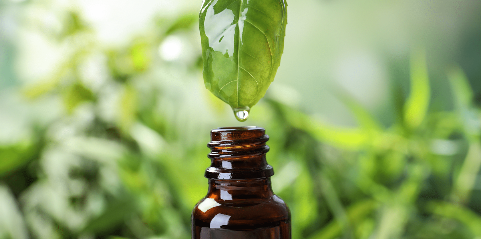 What are the benefits of using aromatherapy every day?
