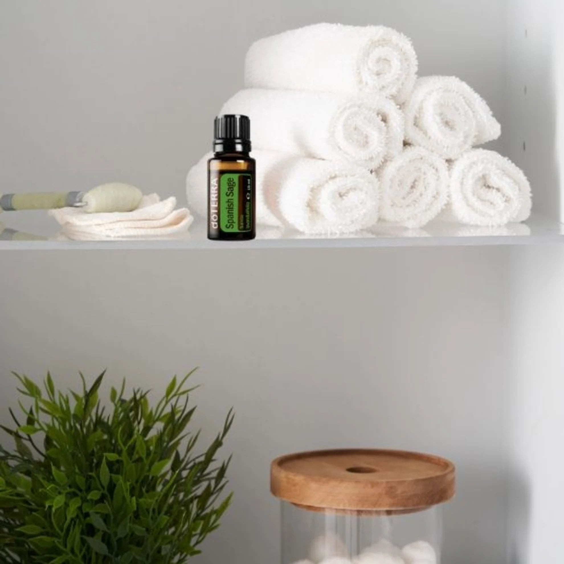 Salvie spaniolă 15ml