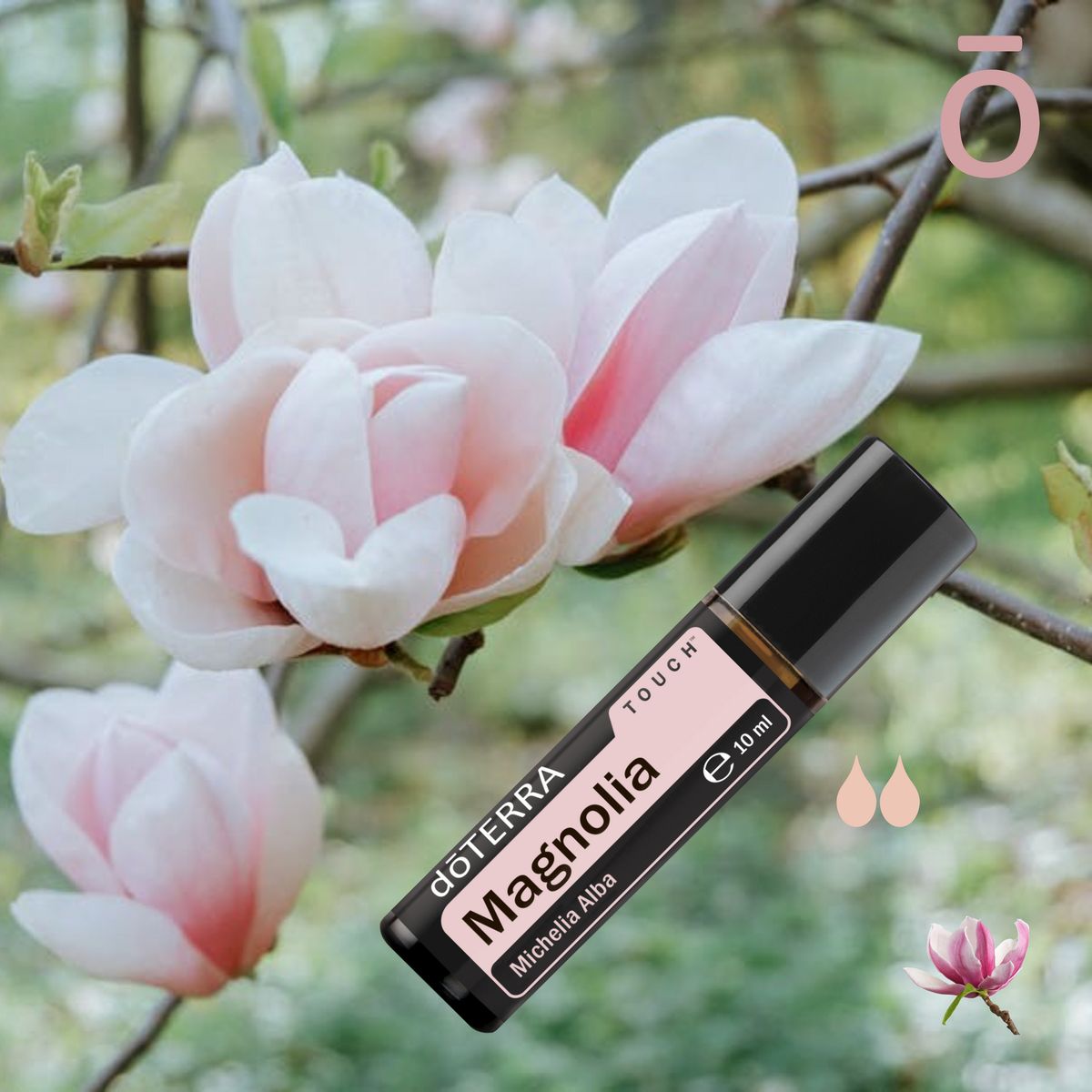 Magnolia Touch 10ml