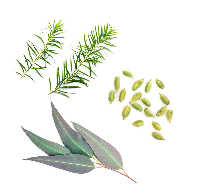 dōTERRA Air™ 15 ml