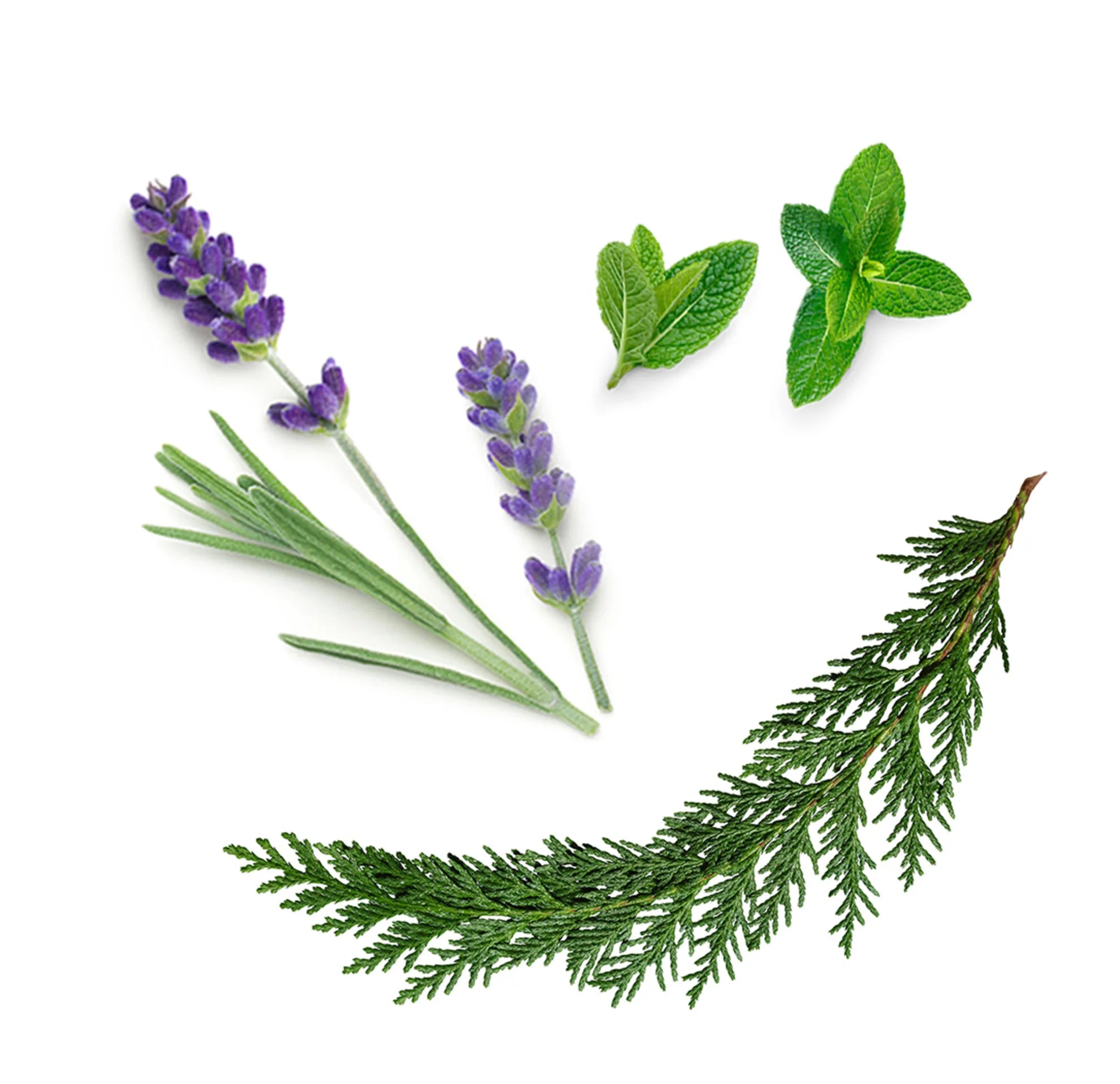 AromaTouch™ 15ml