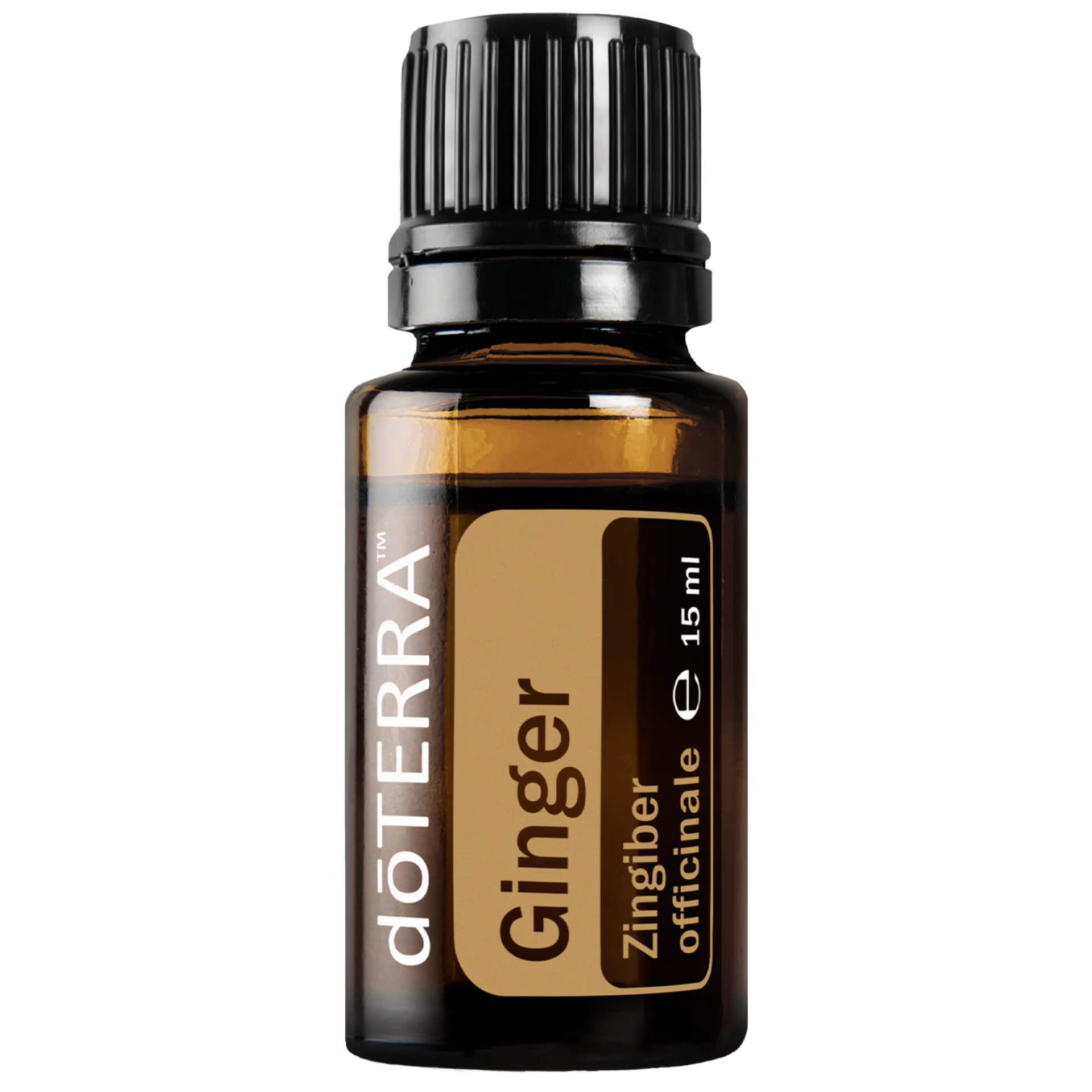 Τζίντζερ 15ml