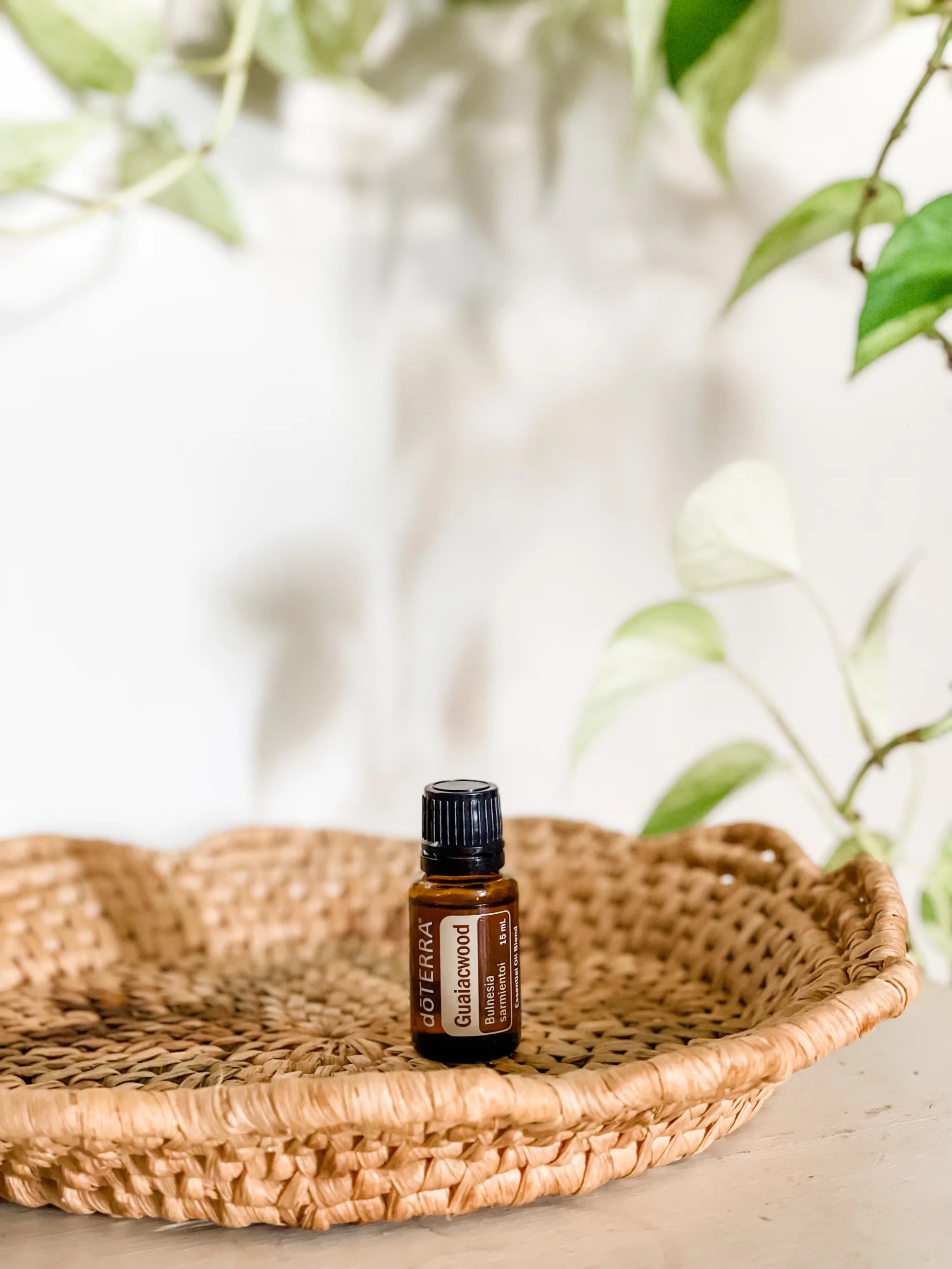 Γουαϊακξύλο 15ml