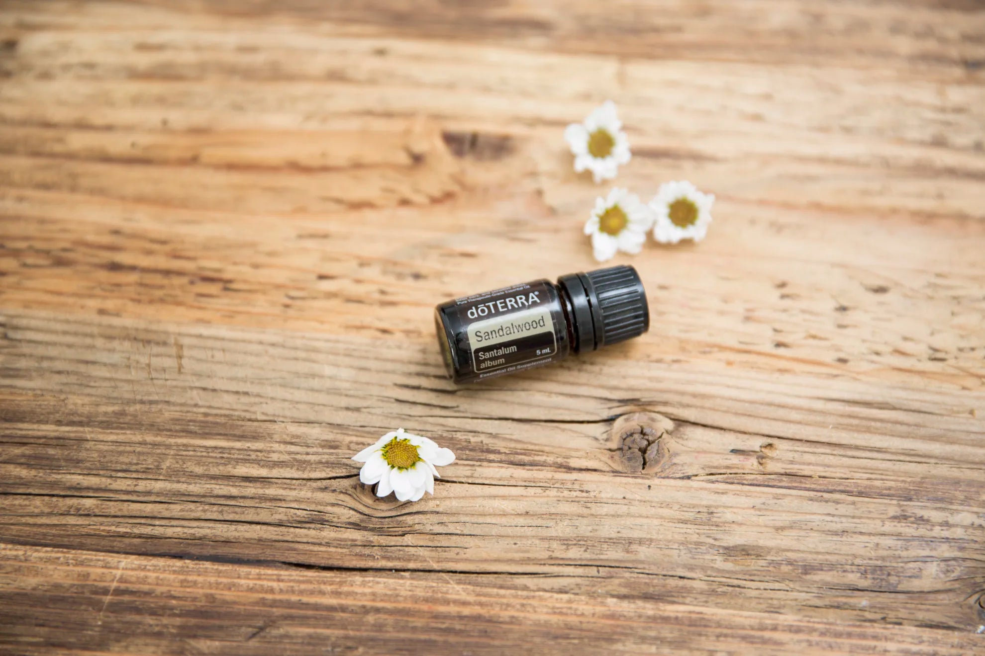 Lemn de santal 5ml